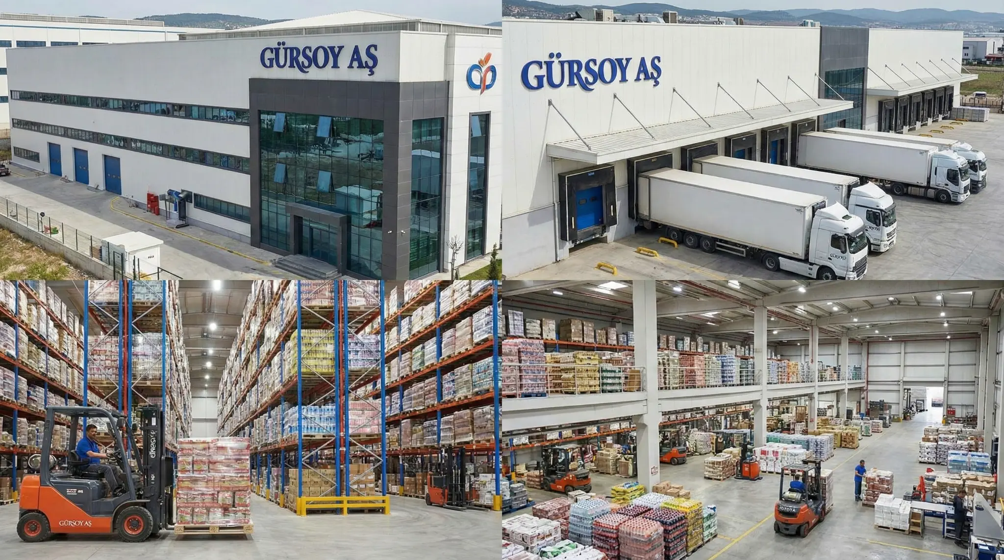 Gürsoy Gıda Hakkımızda